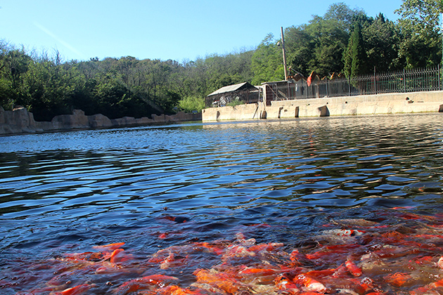 大连金州南山公墓