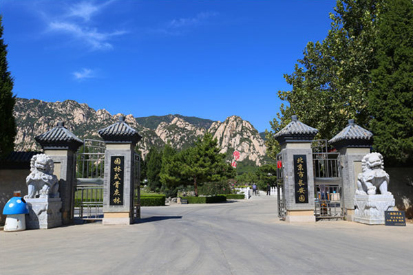 北京长安园骨灰林