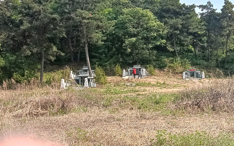 隆重迎接第九批在韩志愿军烈士遗骸回国，极乐殡葬网全体员工欢迎英雄回家！