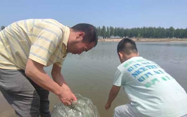 端午放生活动，让生命回归自然，极乐殡葬网成为绿色殡葬时代的倡导者！