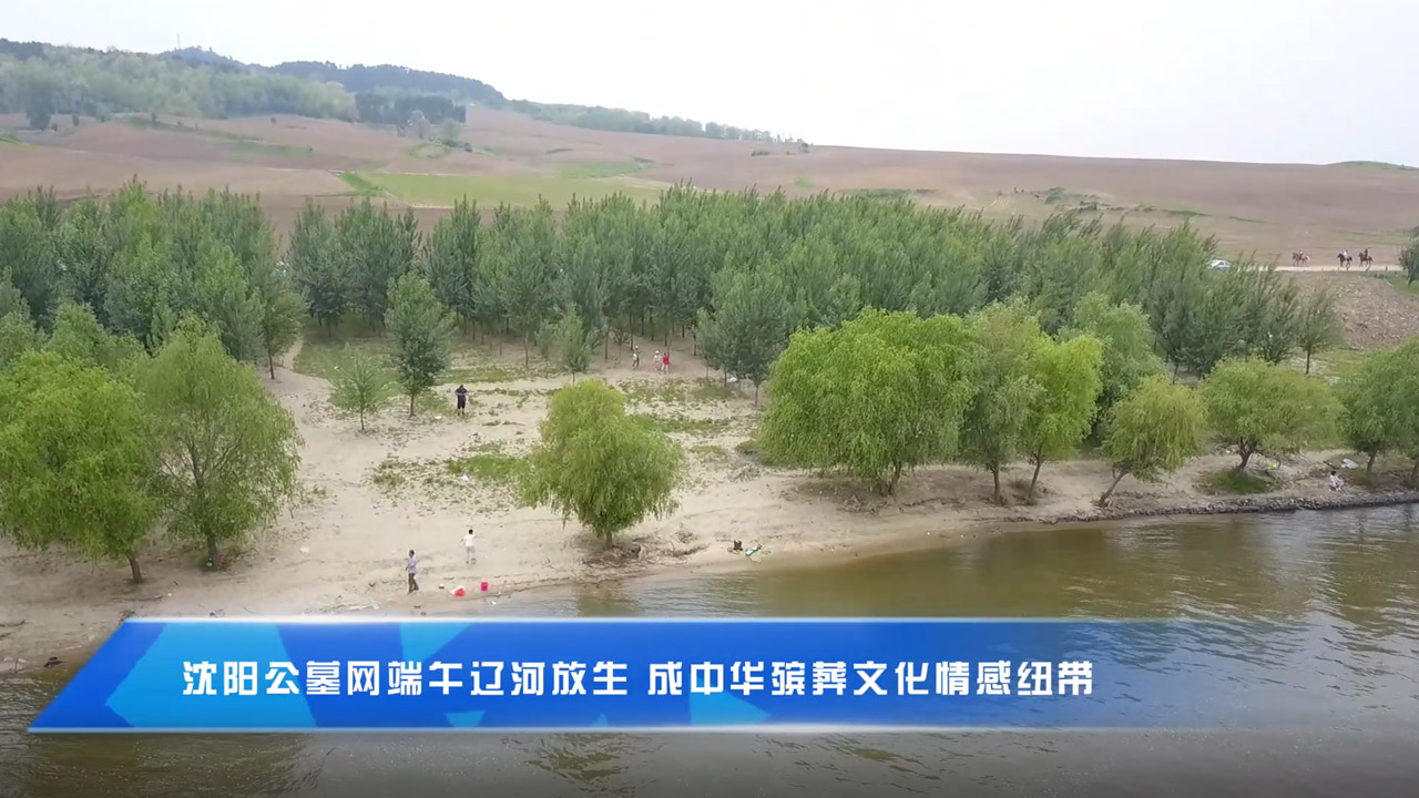 极乐殡葬网端午辽河放生 成中华殡葬文化情感纽带