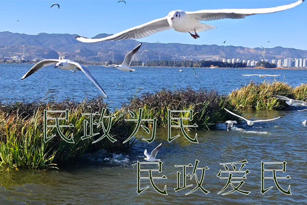 民政为民，民政爱民｜把殡葬费用降下来