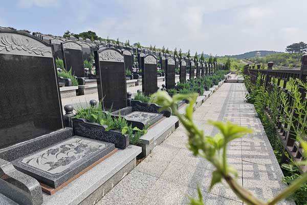 沈阳墓园选墓地的常见途径及实用指南