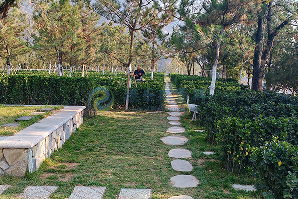 北京墓地价格清明选墓全攻略：预算、风水、流程、避坑一网打尽（2026惠民版）