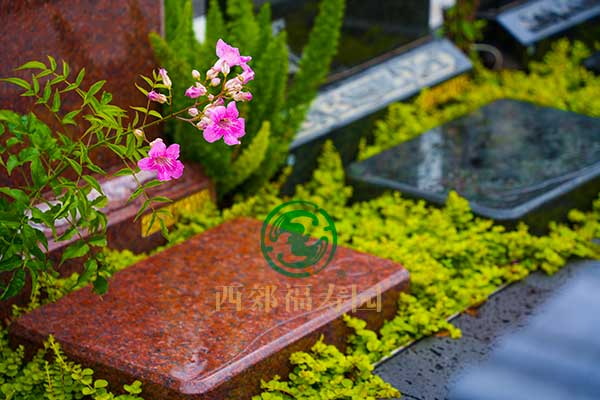 1784714968881391.jpg 重庆墓园.jpg