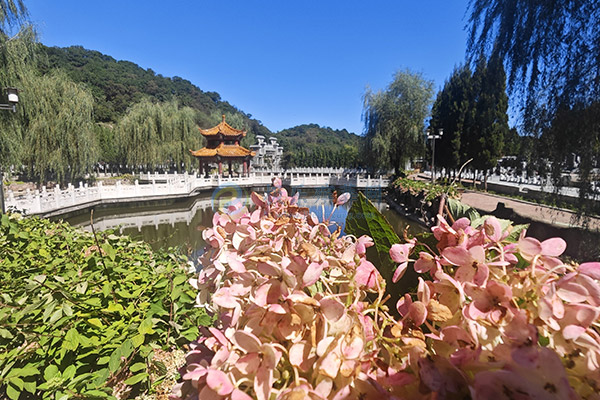 预算1-6万在沈阳能选什么墓地?大河贝墓园最新价格梯度,仅4800元起! 预算1-6万在沈阳能选什么墓地?大河贝墓园最新价格梯度,仅4800元起!